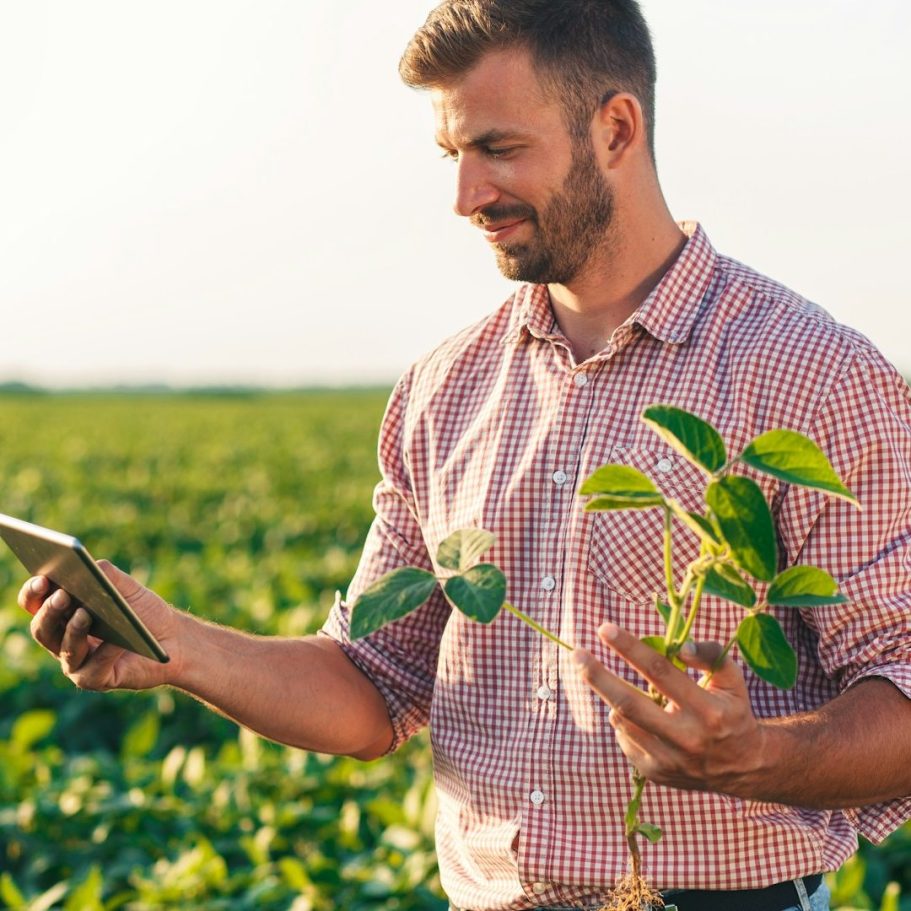 BU für Landwirte Mann in Feld mit Smartphone und Pflanze in der Hand, lächelt nachdenklich. BU für Landwirte und WInzer
