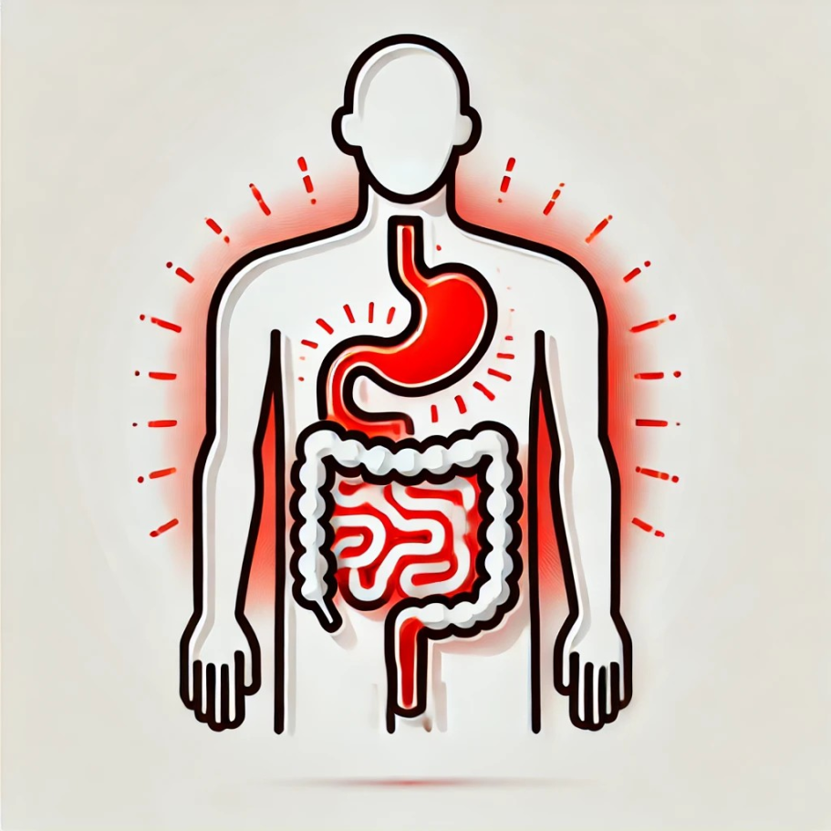 Grafik eines menschlichen Körpers mit hervorgehobenem Verdauungssystem. Berufsunfähigkeitsversicherung